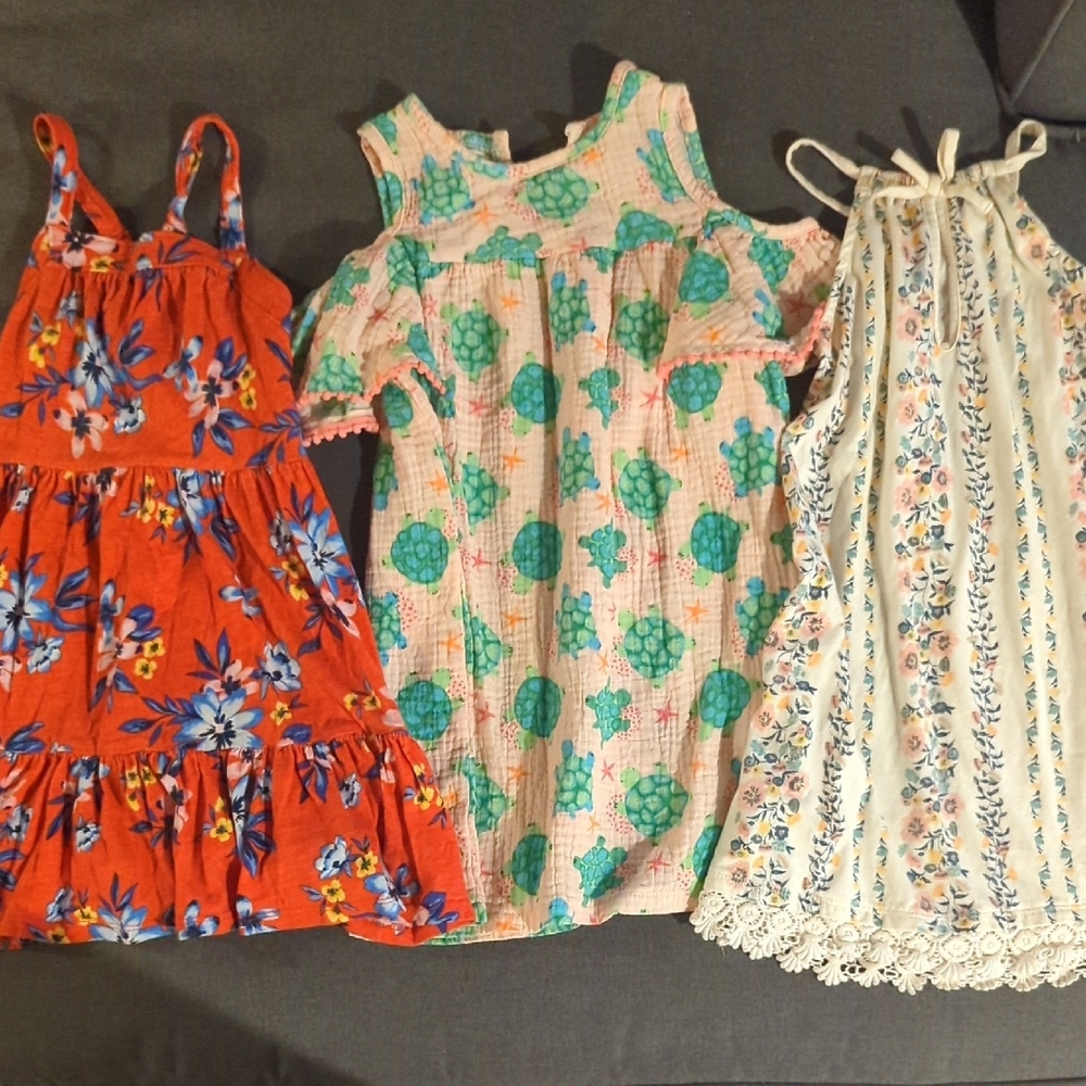 Floral and Turtle Kids Dress Set